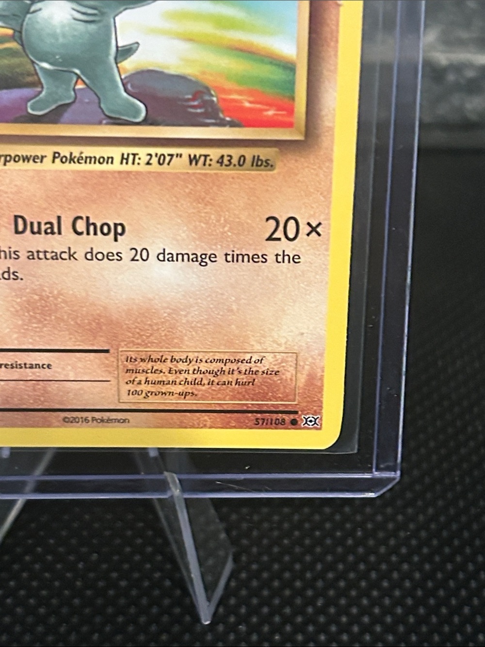 Pokémon Machop 57/108 Non-Holo from XY Evolutions Set Vintage (2016) M/NM - Picture 3 of 3